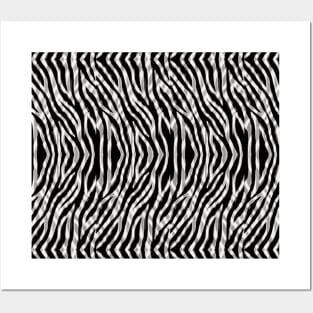 Zebra Stripe Rows Black and White Posters and Art